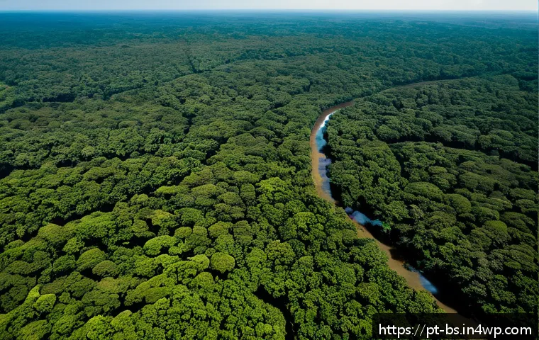 기후변화 관측을 위한 활동 계획 수립 - A detailed aerial view of the Brazilian Amazon rainforest during the dry season, showcasing areas af...