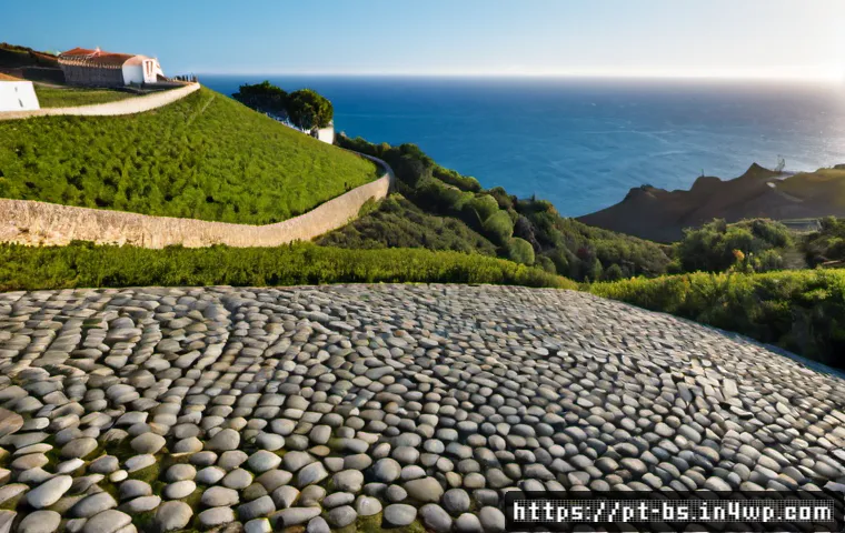 Como mobilizar a comunidade para ações climáticas locais: prioridades, custos e participação cidadã 4 기후변화와 지역 사회의 시민 참여 관련 이미지 2